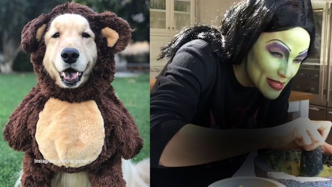 go to So feierten die Haustiere der Stars Halloween