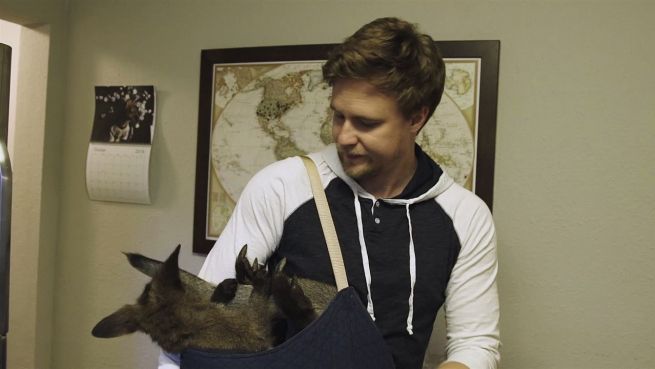 go to So lebt es sich mit einem kleinen Känguru